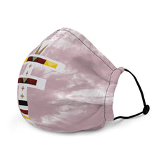 Load image into Gallery viewer, Dragonfly 4 Directions Tie Dye Premium Face Mask- Cheyenne Pink
